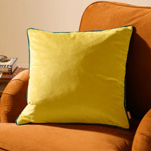 Load image into Gallery viewer, Meridian Velvet Cushion 55x55