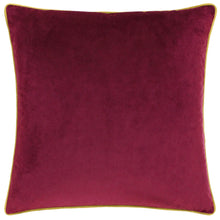 Load image into Gallery viewer, Meridian Velvet Cushion 55x55