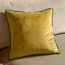 Load image into Gallery viewer, Meridian Velvet Cushion 55x55