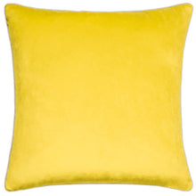 Load image into Gallery viewer, Meridian Velvet Cushion 55x55
