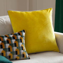 Load image into Gallery viewer, Meridian Velvet Cushion 55x55