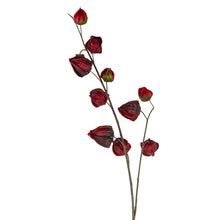 Load image into Gallery viewer, Red Lanterns