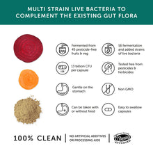 Load image into Gallery viewer, Multibiotic – Probiotic Supplement – Vegan