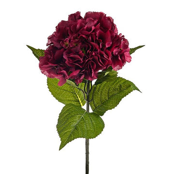 Olivia Hydrangea Stem Burgundy 67cm