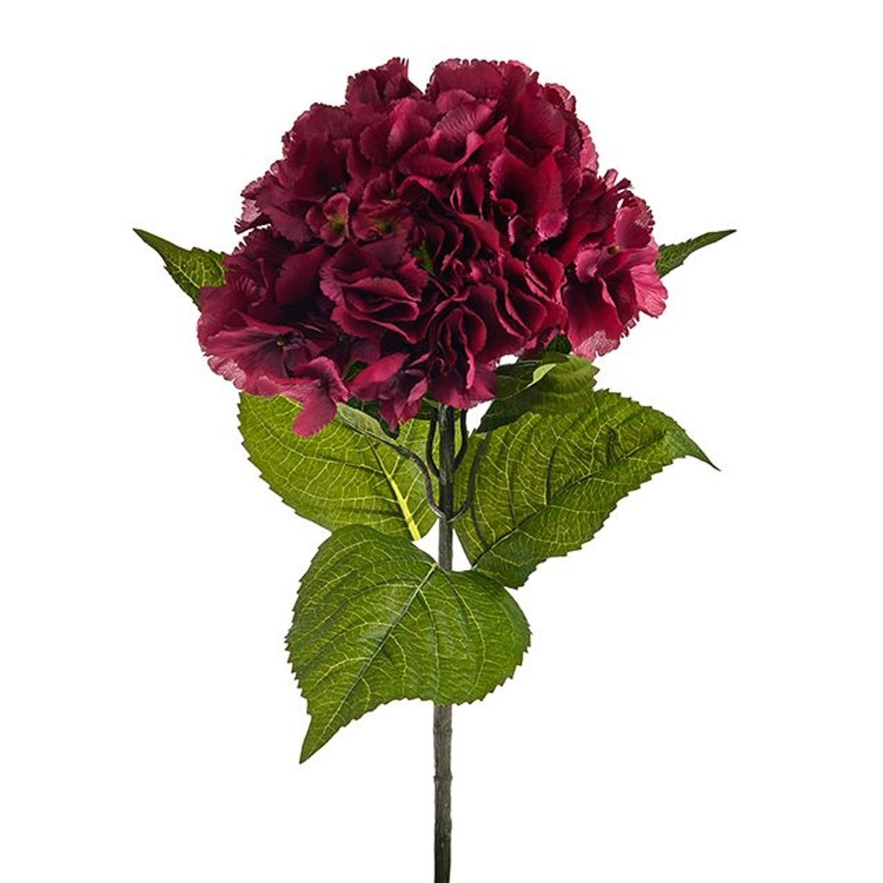 Luxury Large Hydrangea