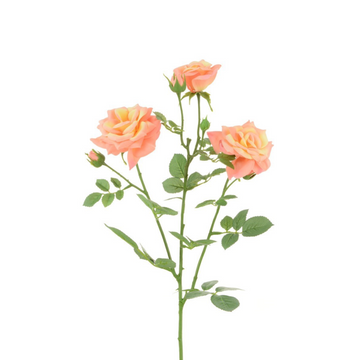 Rose Spray x3