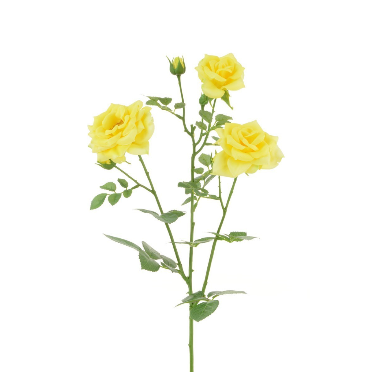 Rose Spray x3