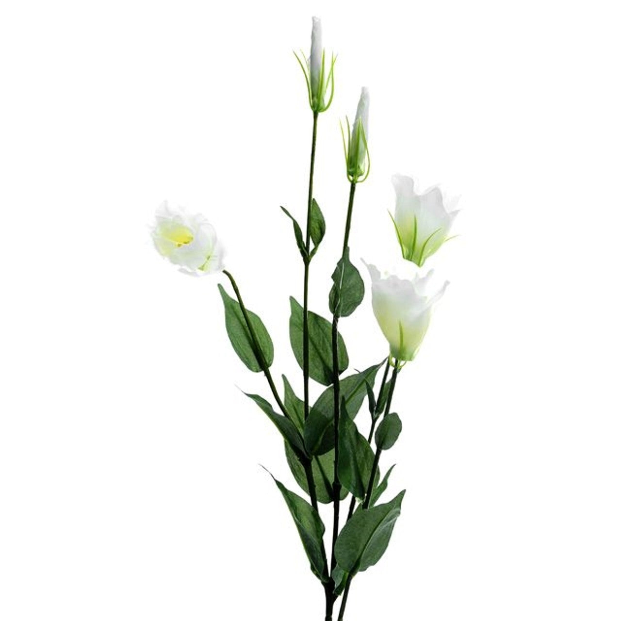 Lisianthus Spray
