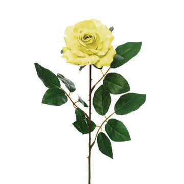 Rose Medium Soft Yellow
