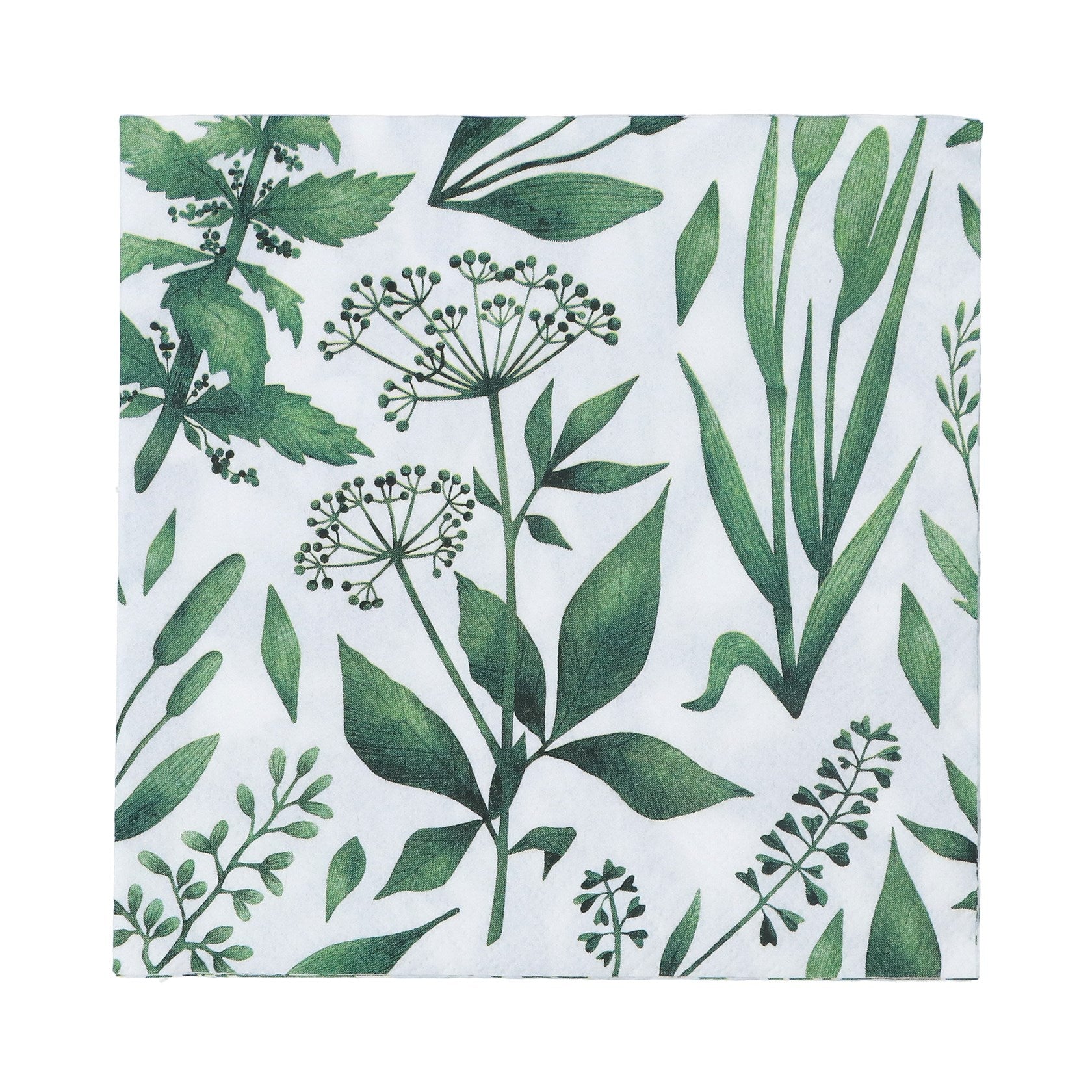 Paper Napkins - Botanics