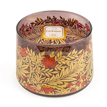 Load image into Gallery viewer, Tapered Candle - Larkspur 6pk
