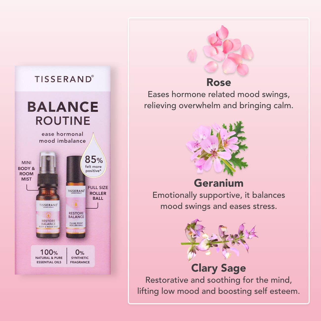 Balance Routine Duo Kit