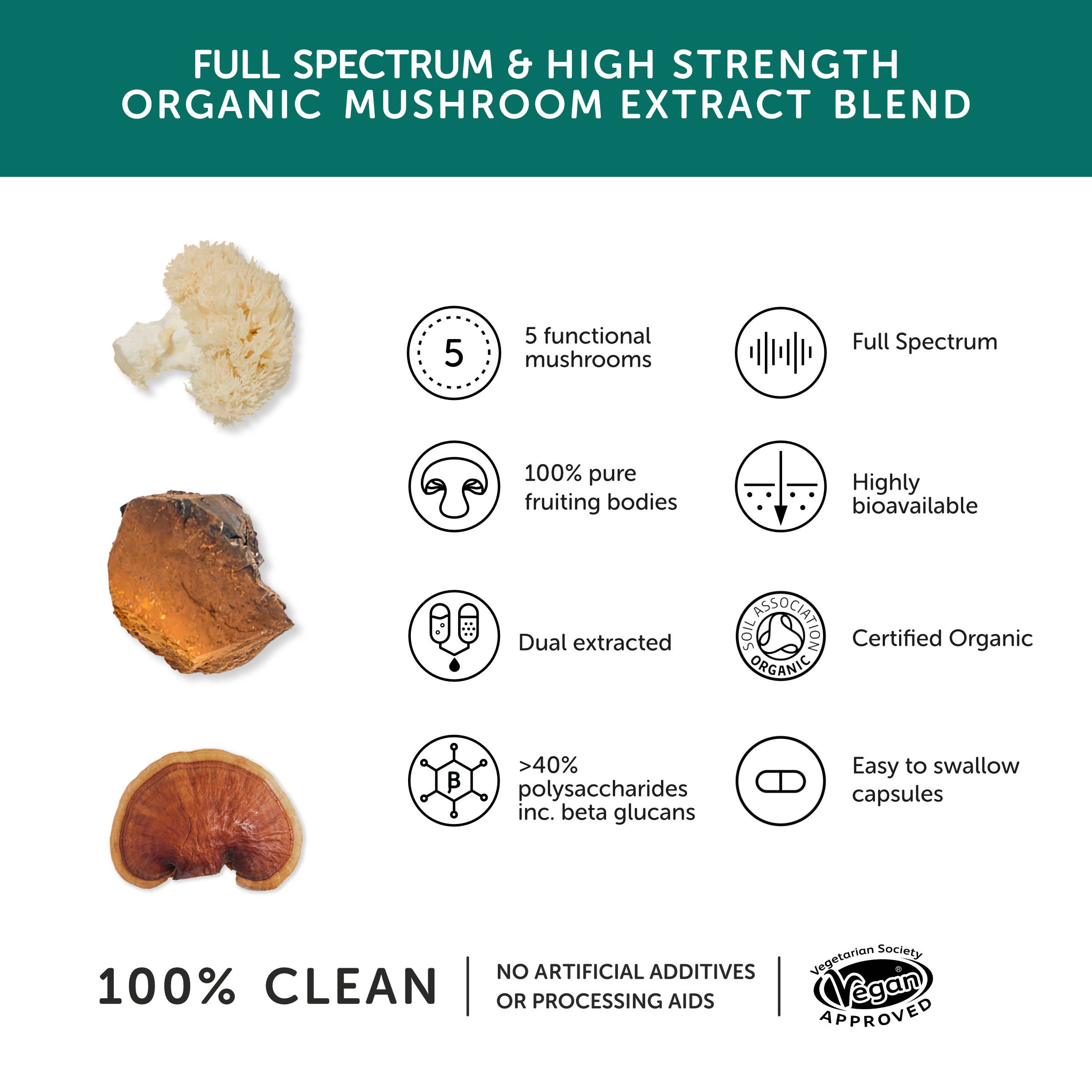Mushroom 5 Blend – 9300mg – High Strength – 60 Capsules