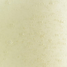 Load image into Gallery viewer, Upcircle I 100% Natural Vegan Soap - Hand + Body Wash with Lemongrass

