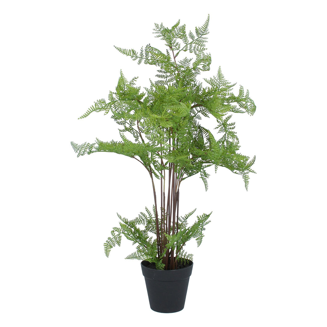 Potted Plant 51cm - Faux Fern in Pot