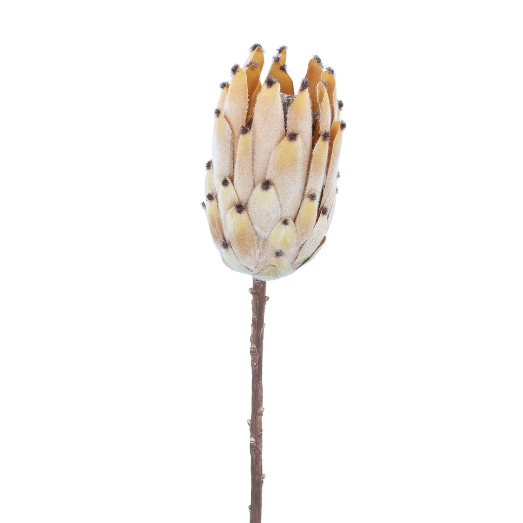 Faux Flowers Antique Beige Protea