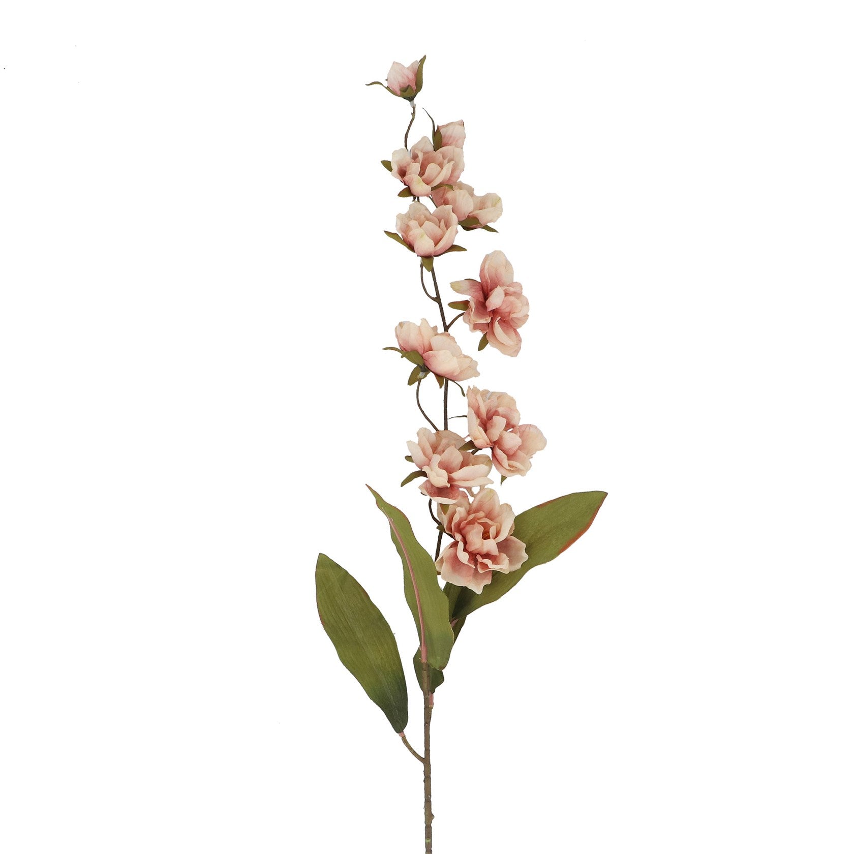 Antique Pink Mini Double Magnolia Stem 84cm