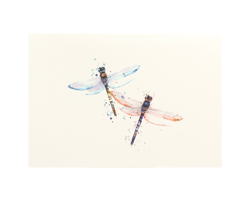 Boxed Notecard Set with Dragonflies