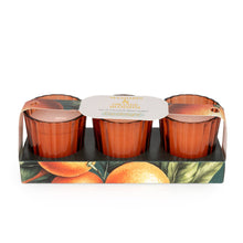Load image into Gallery viewer, Set of 3 Votives - Mandarin &amp; Orange Blossom 6PK
