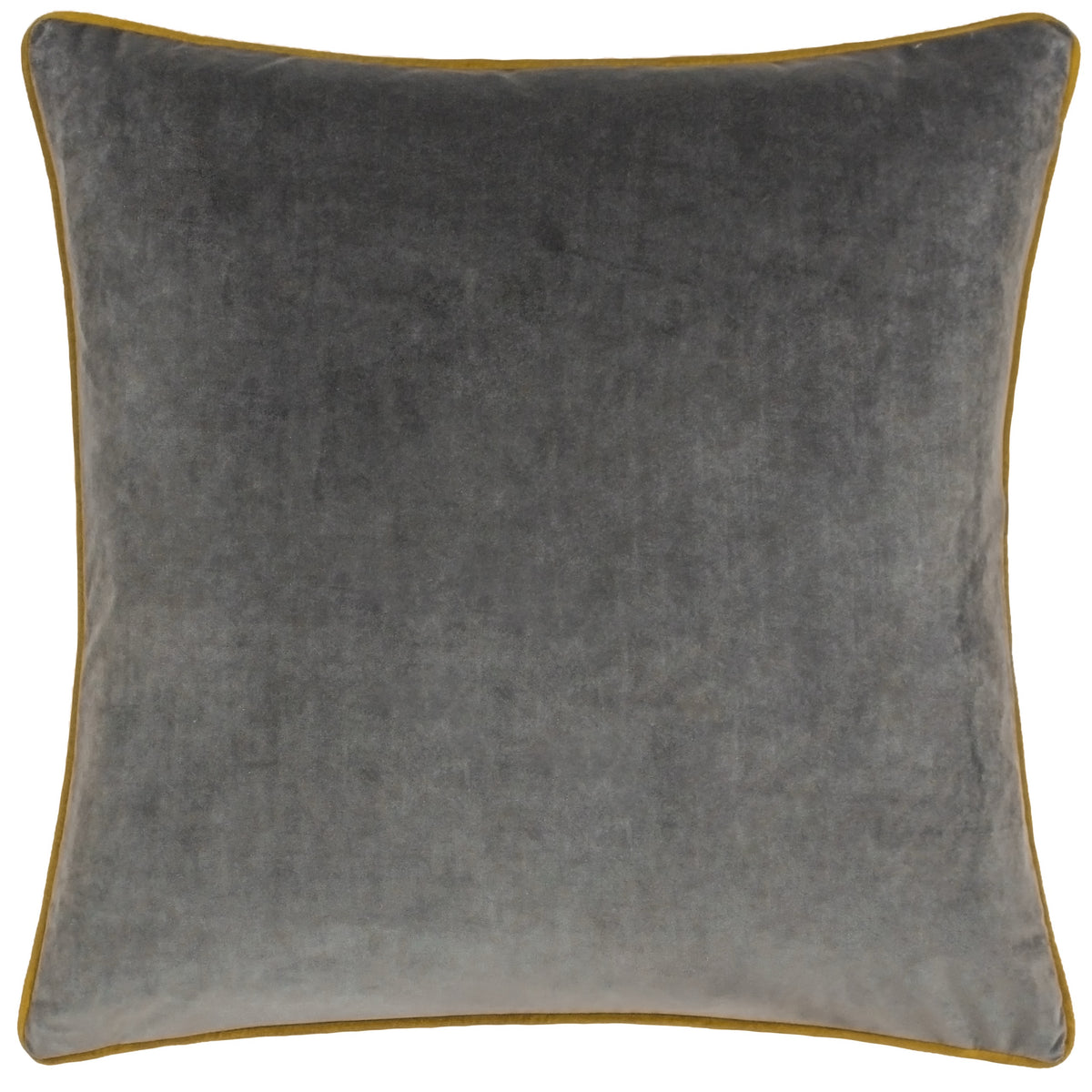 Meridian Velvet Cushion 55x55
