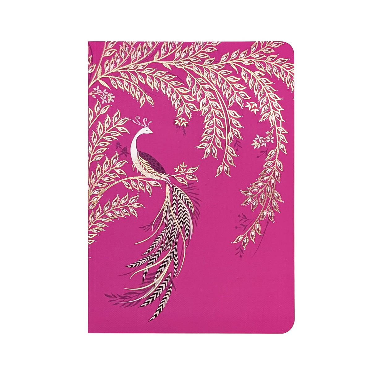 Sara Miller Birthday - Set of 3 B6 Notebooks