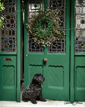 Load image into Gallery viewer, Amsterdam Green Chalk Paint™ by Annie Sloan
