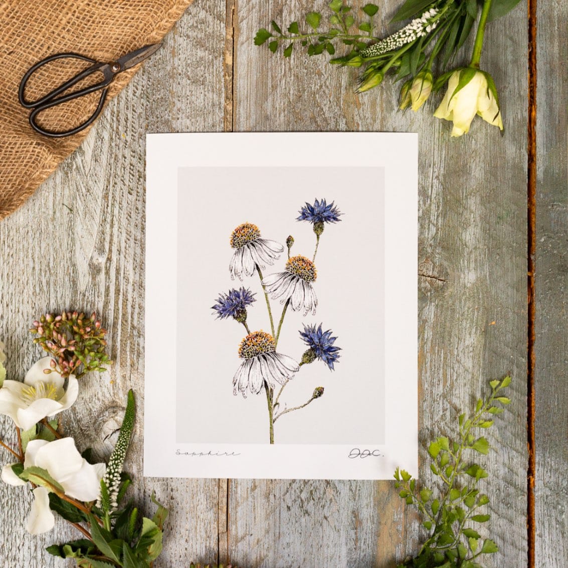 Sapphire 10×12″ Fine Art Print