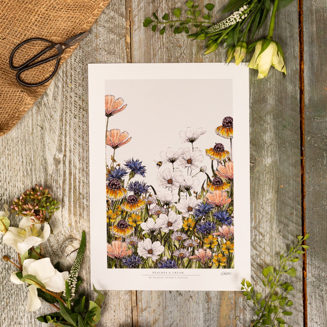 Peaches & Cream 12x16 Fine Art Print