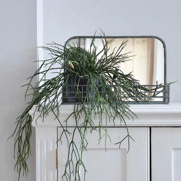 Small Mirror With Wire Shelf
