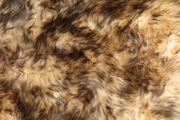 Sheepskin Rug