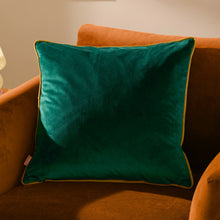 Load image into Gallery viewer, Meridian Velvet Cushion 55x55
