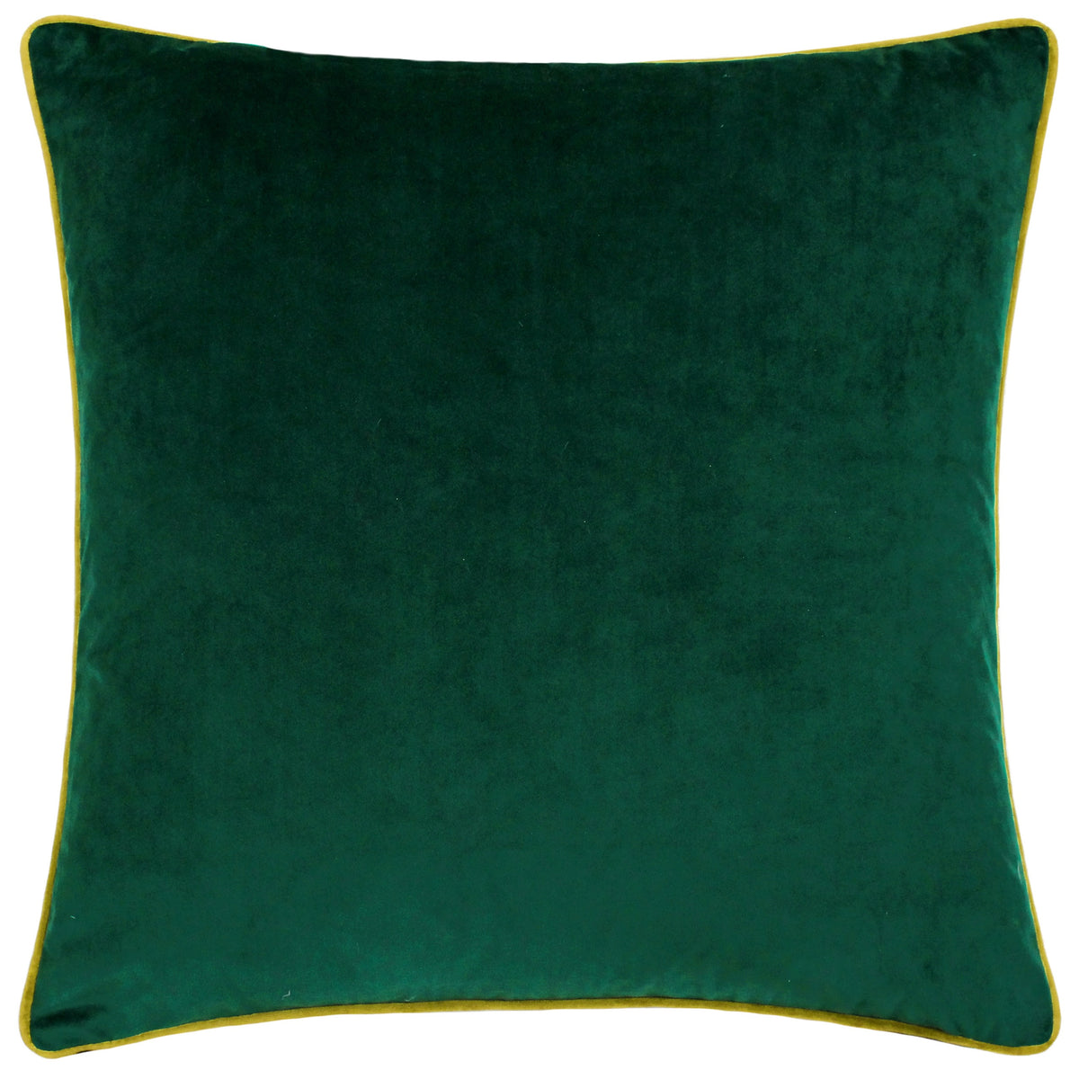 Velvet cushion collection from Paoletti at Little Gems Interiors, Suffolk