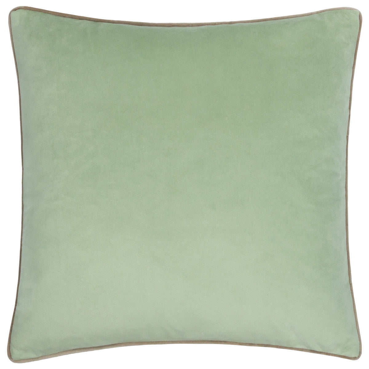 Velvet Cushion collection from Furn