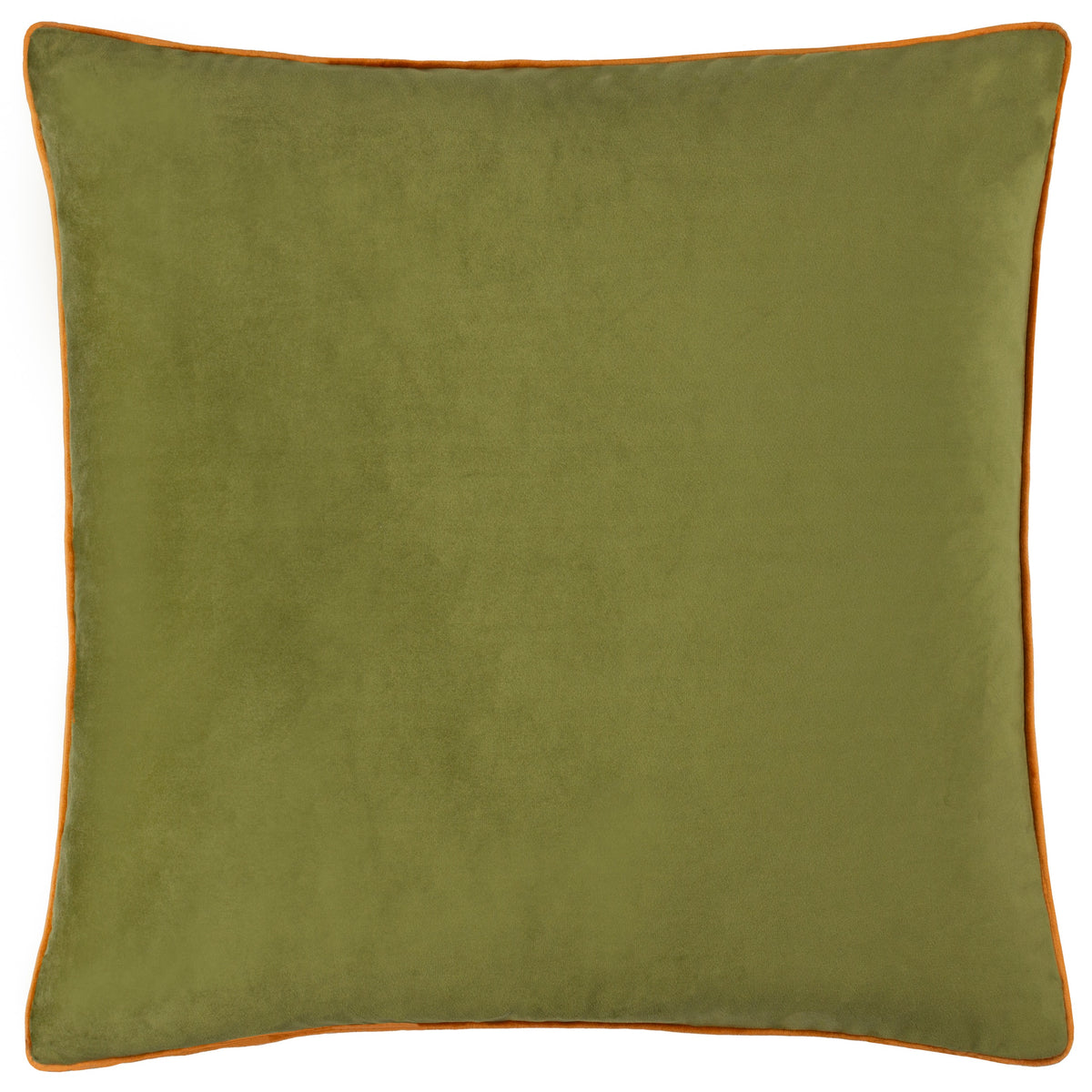Velvet Cushions from Furn