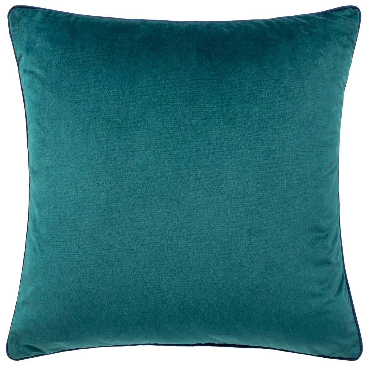 Meridian Cushion Collection velvet cushions with coloured piping