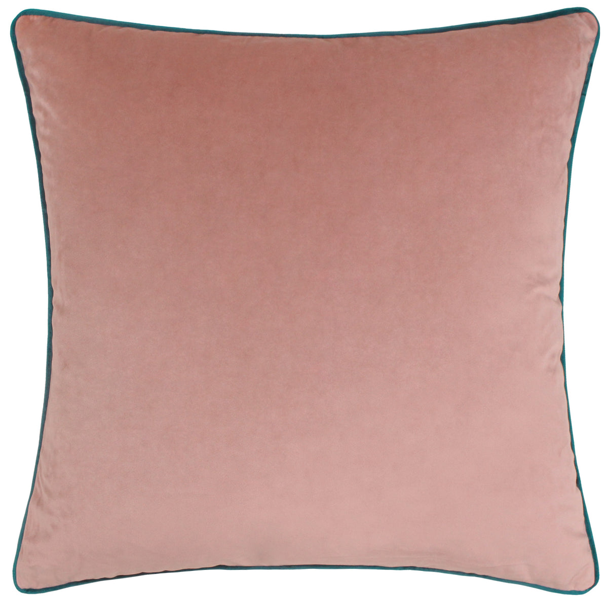 Meridian Velvet Cushion with coordinating velvet piping from Furn