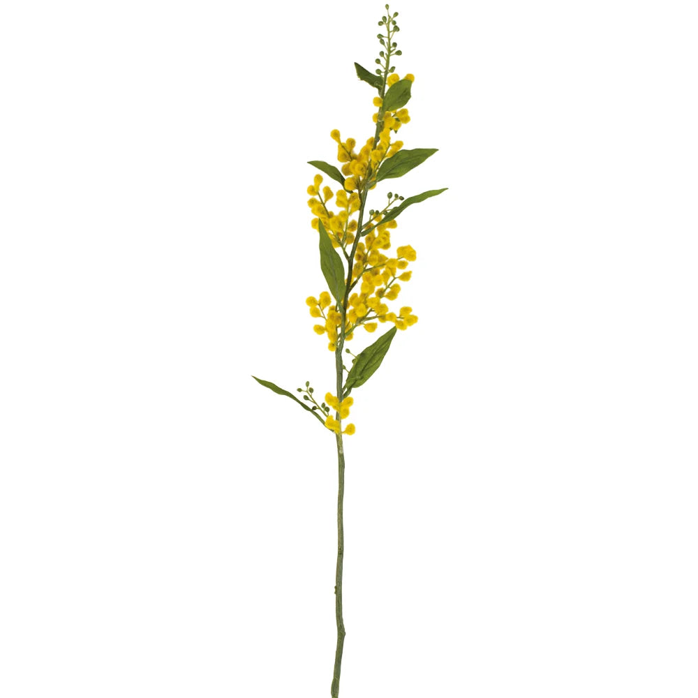 Mimosa Spray