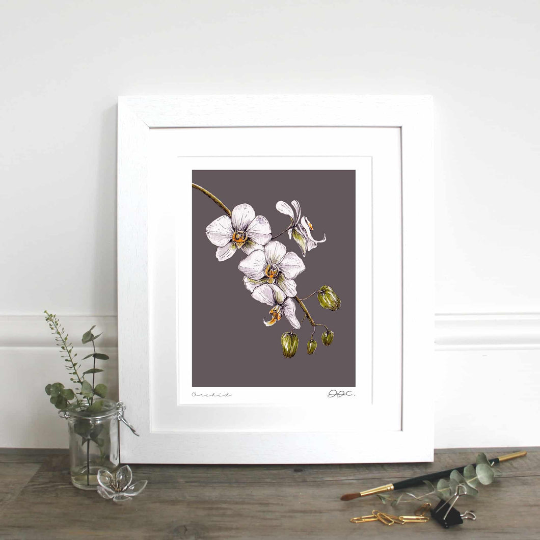 Orchid 10×12″ Mounted Fine Art Print