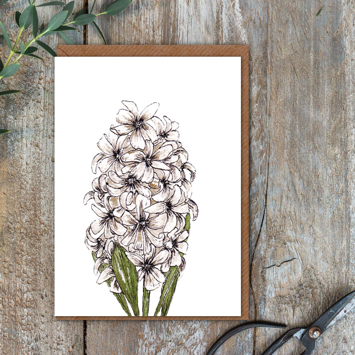 White Hyacinth Card (Cello-Free)