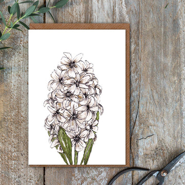 White Hyacinth Card (Cello-Free)