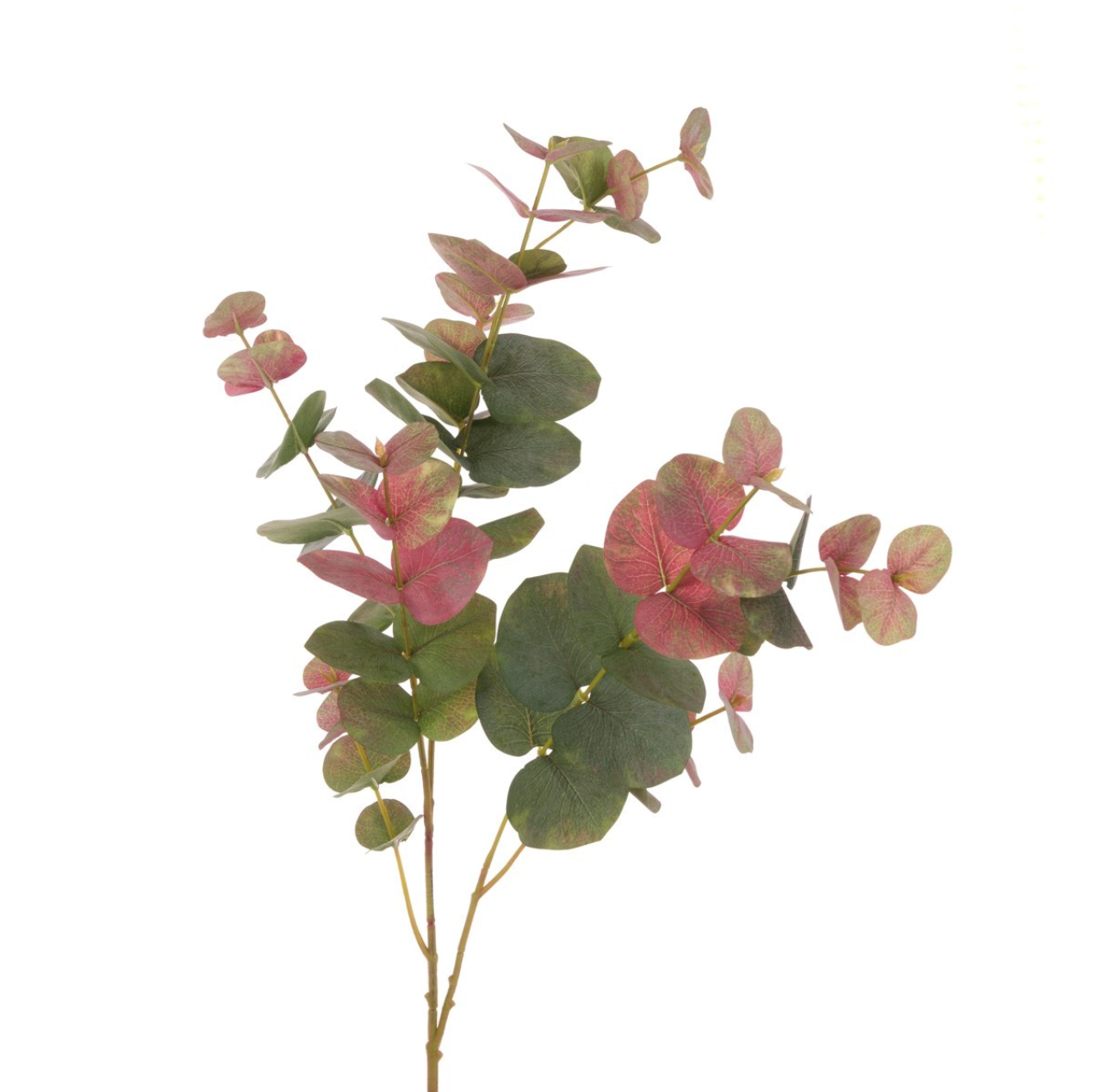 Faux Blush Eucalyptus