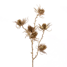 Load image into Gallery viewer, Metallic Thistle Spray
