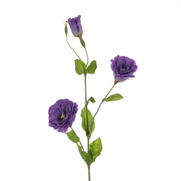 Fresh Touch Lisianthus Spray