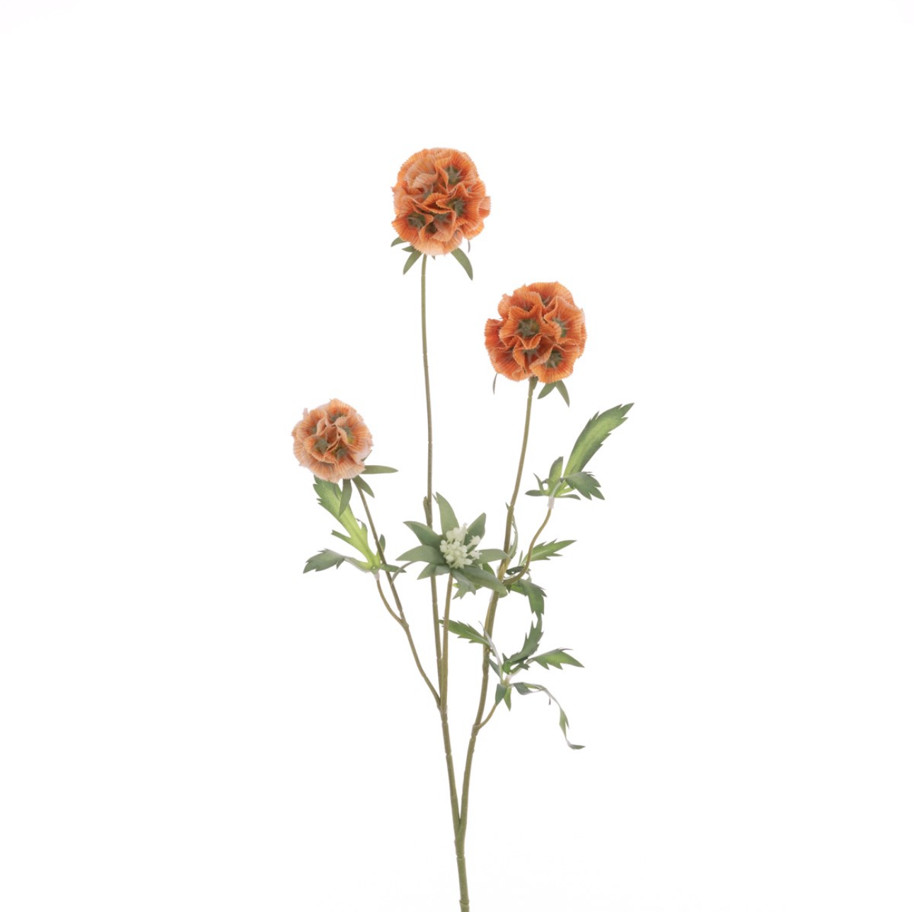 SILK SCABIOSA STELLATA SPRAY 73CM