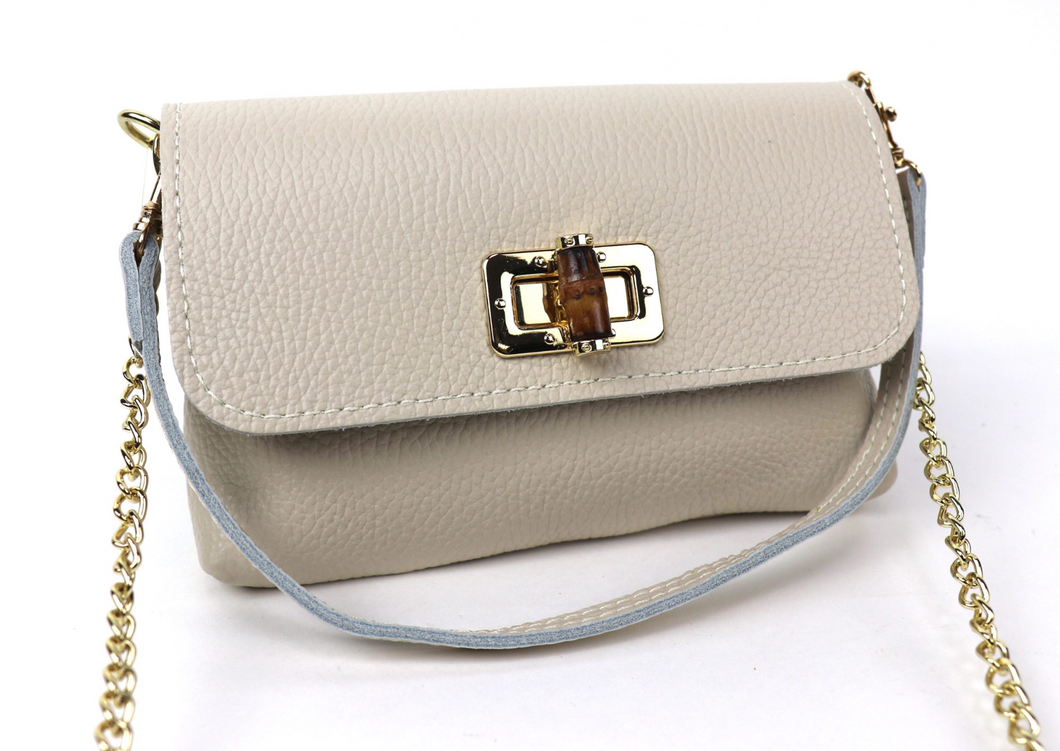 Small Clutch/Shoulder Cross Body Bag