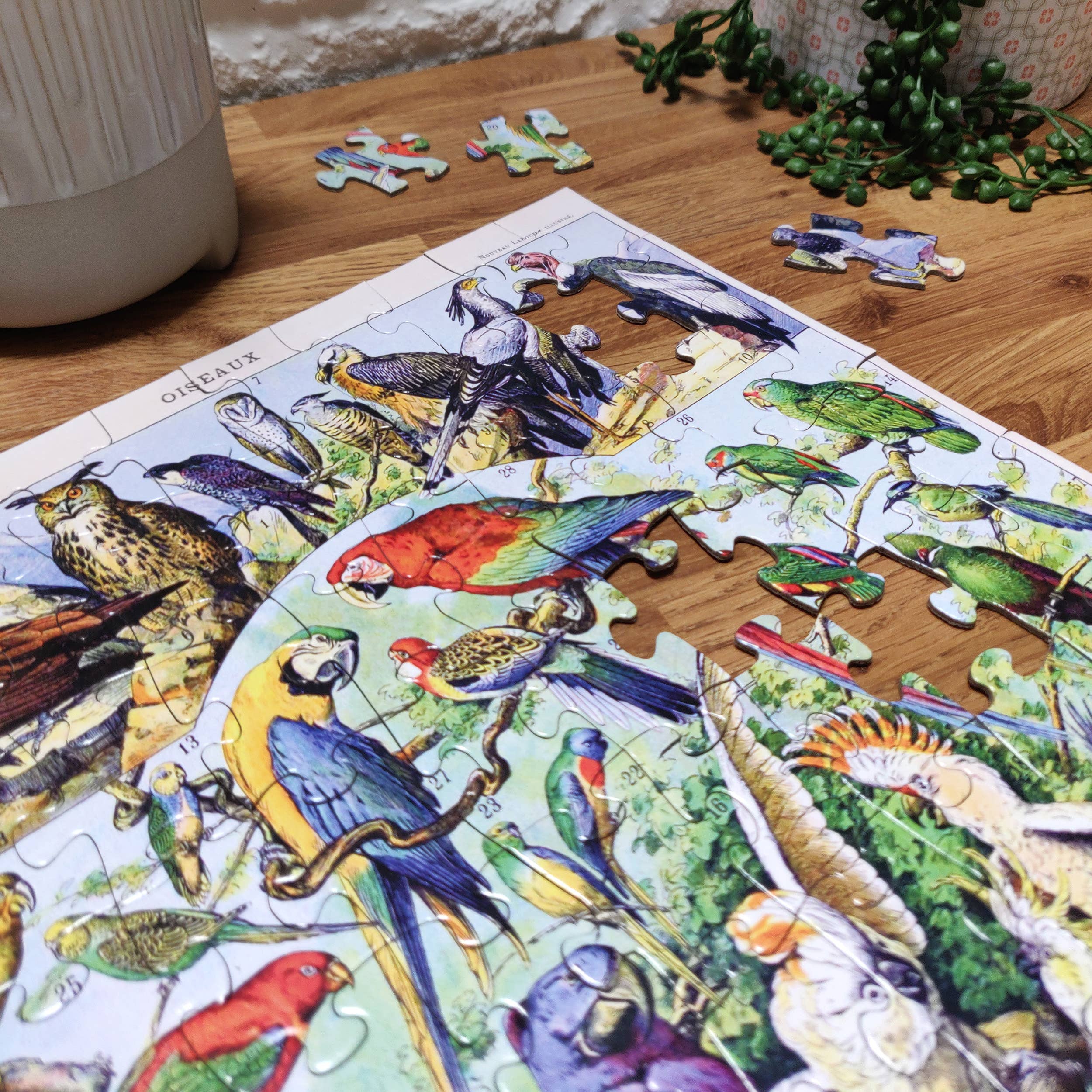 100 Piece Jigsaw - Tropical Birds