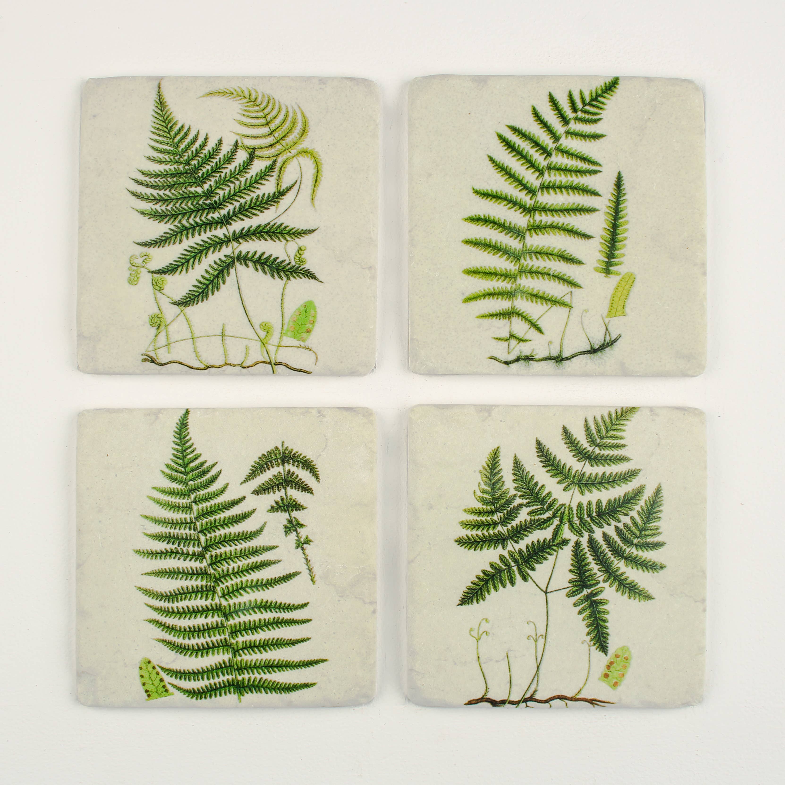 Coasters S/4 Ferns