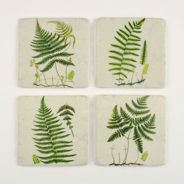 Coasters S/4 Ferns