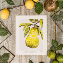 Load image into Gallery viewer, Golden Pear 10 x 12" Fine Art Print

