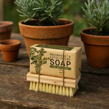 GARDENER'S COLLECTION - OLIVE SOAP & NAIL BRUSH